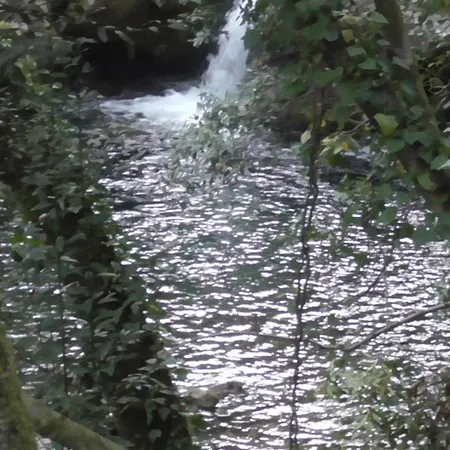 Ecoaldea Vegetariana Y Vegana Espiral