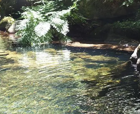 ラグジュアリーテント Ecoaldea Vegetariana Y Vegana Espiral *