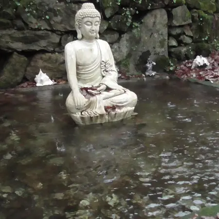 Ecoaldea Vegetariana Y Vegana Espiral 卡贝塞拉什德巴什图