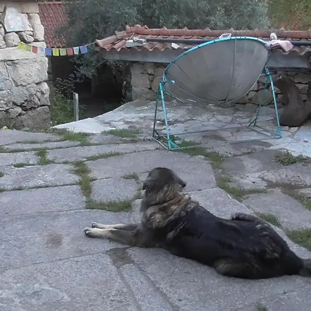 Ecoaldea Vegetariana Y Vegana Espiral * 卡贝塞拉什德巴什图