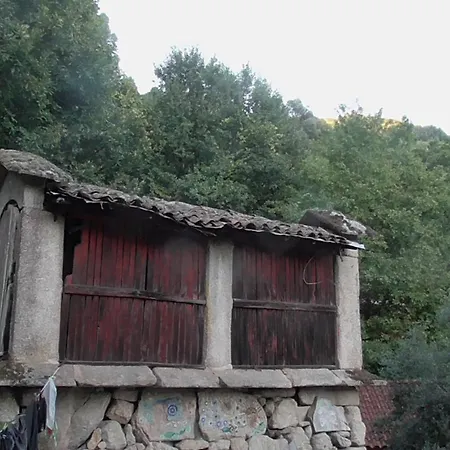 ラグジュアリーテント Ecoaldea Vegetariana Y Vegana Espiral *