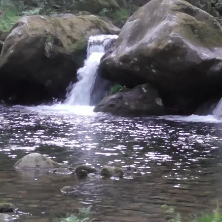 Ecoaldea Vegetariana Y Vegana Espiral *