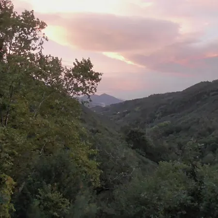 Ecoaldea Vegetariana Y Vegana Espiral * カベセイラス・デ・バスト