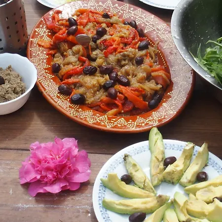 Ecoaldea Vegetariana Y Vegana Espiral