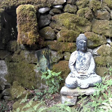 Ecoaldea Vegetariana Y Vegana Espiral ラグジュアリーテント