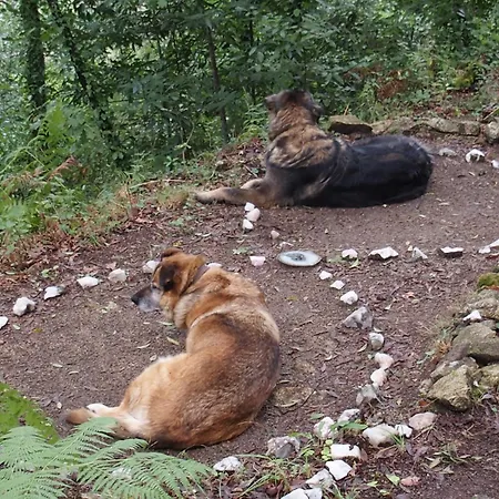 Ecoaldea Vegetariana Y Vegana Espiral