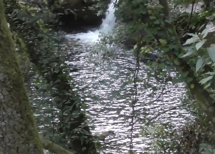 Ecoaldea Vegetariana Y Vegana Espiral