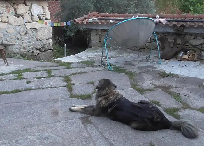 Ecoaldea Vegetariana Y Vegana Espiral * Cabeceiras de Basto