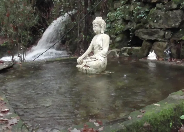 Ecoaldea Vegetariana Y Vegana Espiral