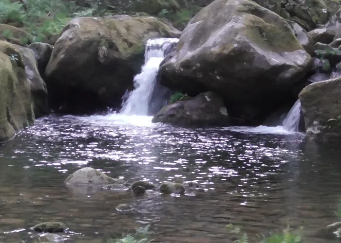 Ecoaldea Vegetariana Y Vegana Espiral *