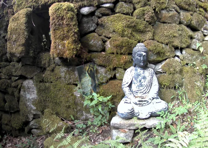 Ecoaldea Vegetariana Y Vegana Espiral Luxuszelt