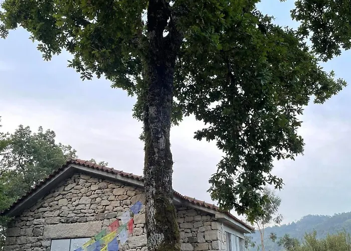 Ecoaldea Vegetariana Y Vegana Espiral Cabeceiras de Basto