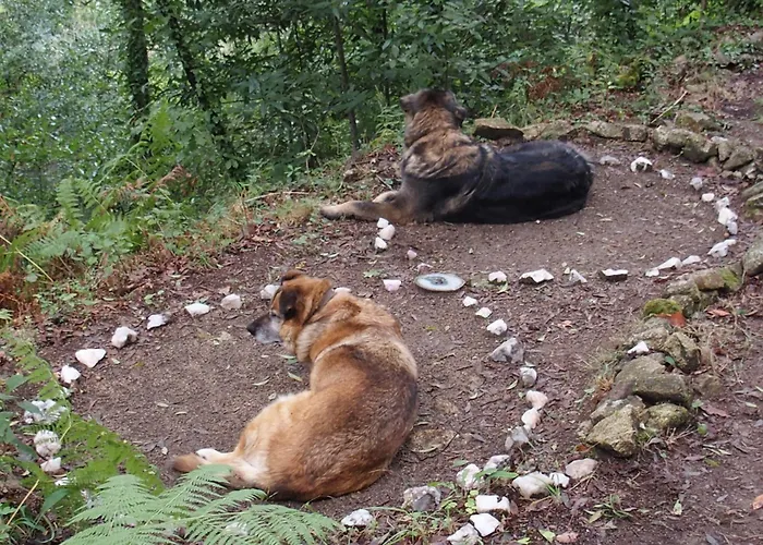 Ecoaldea Vegetariana Y Vegana Espiral